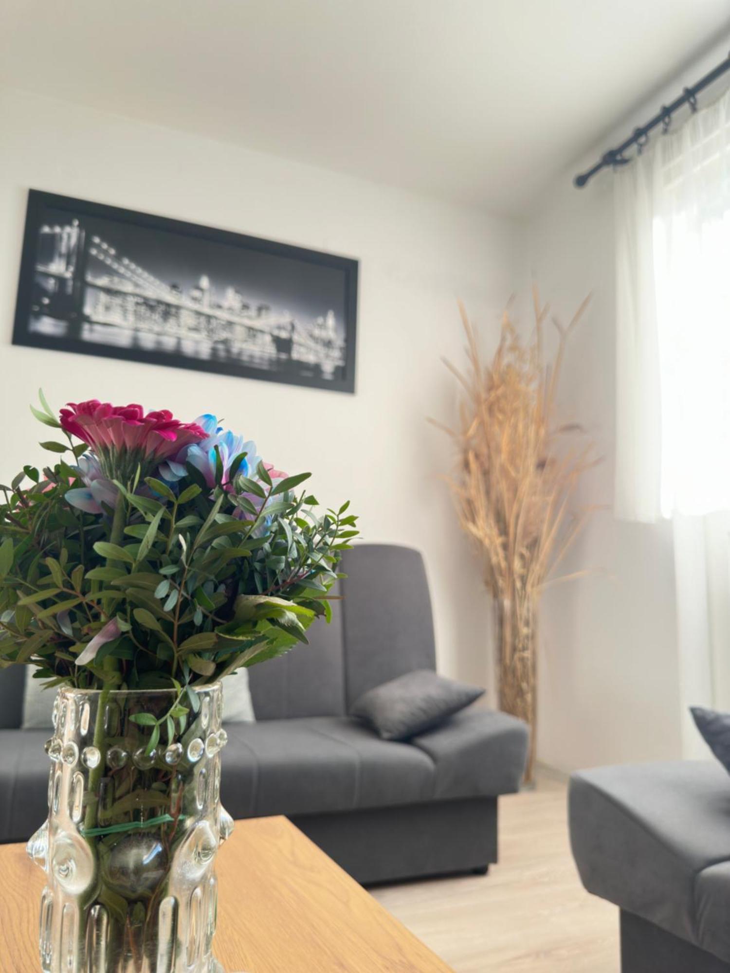 Apartment Maky زادار المظهر الخارجي الصورة